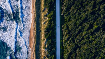 白天树木与海堤之间混凝土道路的航拍